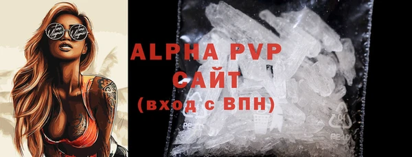 стаф Осинники