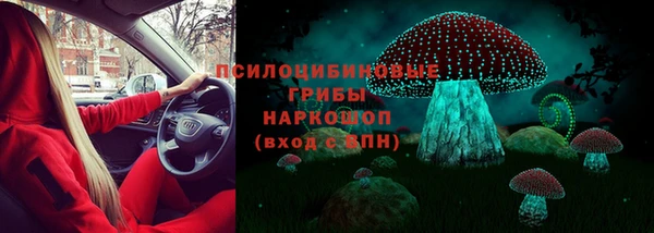мескалин Алексин