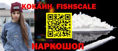 дмт Кингисепп