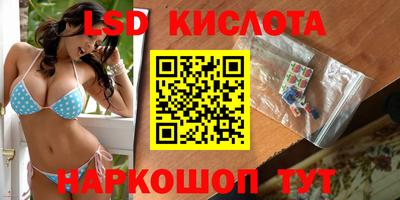 дмт Кингисепп