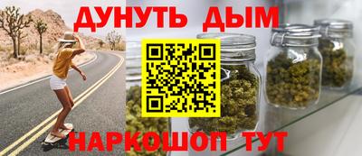дмт Кингисепп