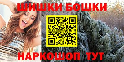 дмт Кингисепп
