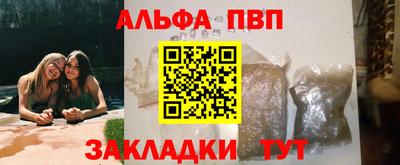 дмт Кингисепп