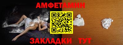дмт Кингисепп