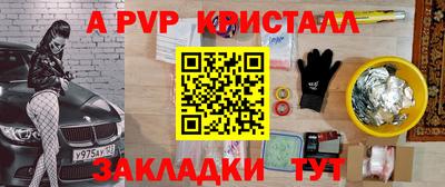 дмт Кингисепп